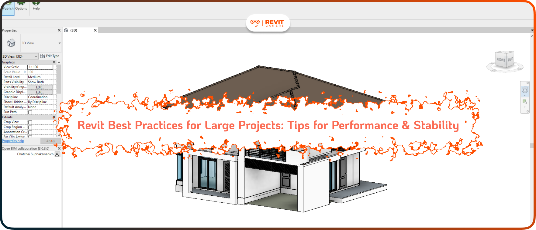 Revit Best Practices for Large Projects_ Tips for Performance & Stability